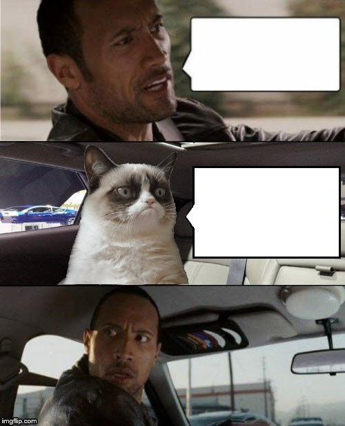 The Rock Driving Grumpy Cat Blank Meme Template