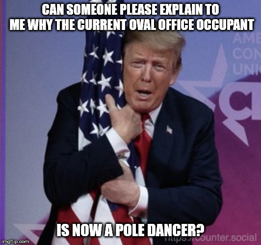 CAN SOMEONE PLEASE EXPLAIN TO ME WHY THE CURRENT OVAL OFFICE OCCUPANT; IS NOW A POLE DANCER? | image tagged in donnie grabber | made w/ Imgflip meme maker