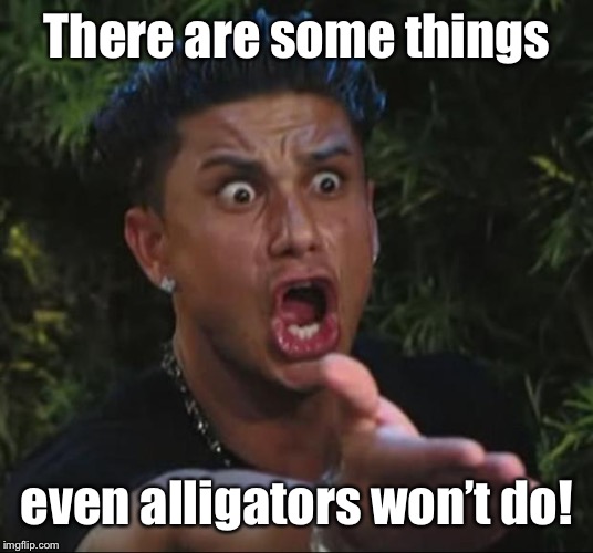 DJ Pauly D Meme | There are some things even alligators won’t do! | image tagged in memes,dj pauly d | made w/ Imgflip meme maker
