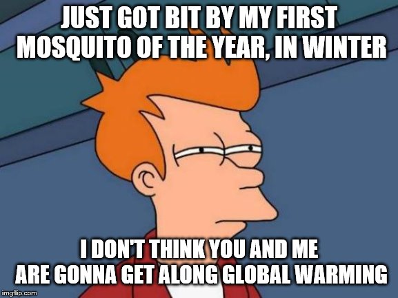 futurama fly | JUST GOT BIT BY MY FIRST MOSQUITO OF THE YEAR, IN WINTER; I DON'T THINK YOU AND ME ARE GONNA GET ALONG GLOBAL WARMING | image tagged in memes,futurama fry,mosquito,global warming | made w/ Imgflip meme maker