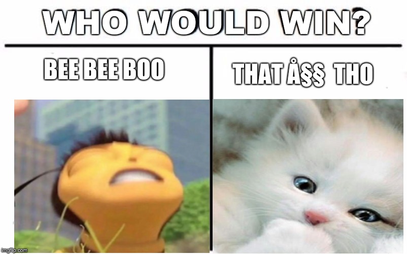 Who Would Win? Meme | WHO WOULD WIN? BEE BEE BOO; THAT Å§§  THO | image tagged in memes,who would win | made w/ Imgflip meme maker