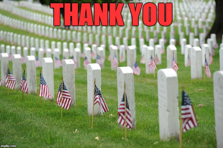 No Politics...Just Appreciation | THANK YOU | image tagged in arlington,military,sacrifice,america,veterans | made w/ Imgflip meme maker