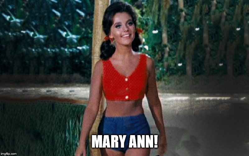 MARY ANN! | made w/ Imgflip meme maker