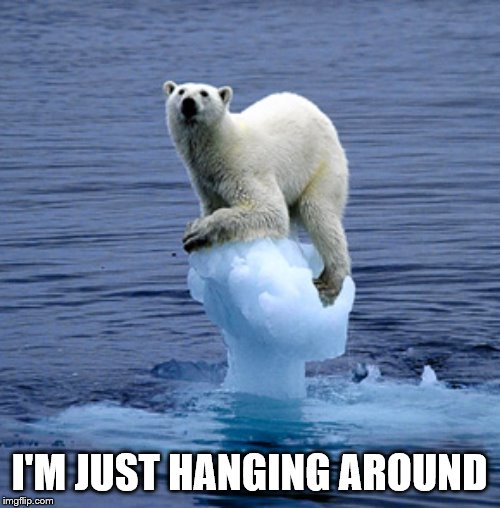 Global Warming Polar Bear | I'M JUST HANGING AROUND | image tagged in global warming polar bear | made w/ Imgflip meme maker