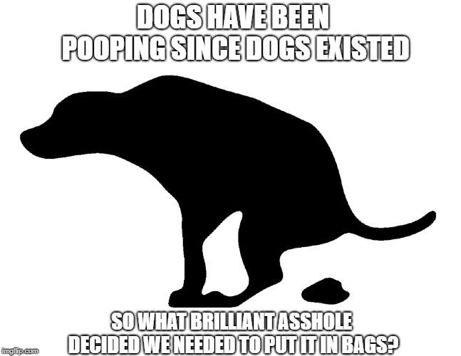 it's poop! | DOGS HAVE BEEN POOPING SINCE DOGS EXISTED; SO WHAT BRILLIANT ASSHOLE DECIDED WE NEEDED TO PUT IT IN BAGS? | image tagged in dog shit,dog poop,bag that poop,bagging dog poop,bagging dog shit | made w/ Imgflip meme maker