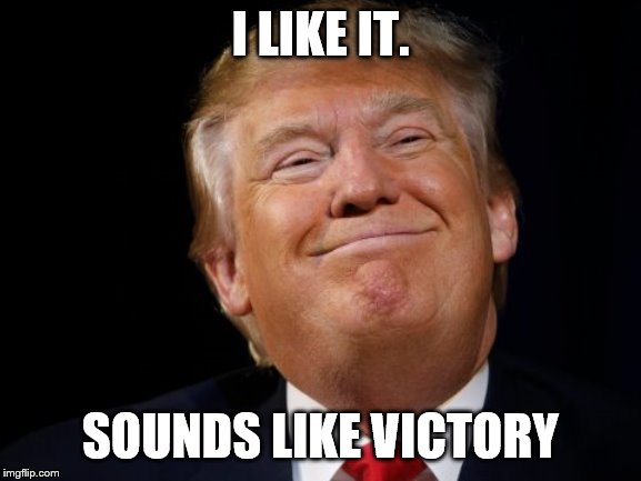 Smug Trump | I LIKE IT. SOUNDS LIKE VICTORY | image tagged in smug trump | made w/ Imgflip meme maker