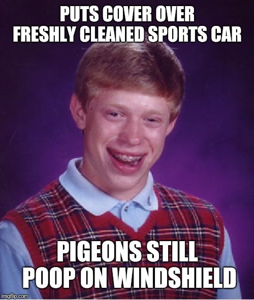 Bad Luck Brian Meme | PUTS COVER OVER FRESHLY CLEANED SPORTS CAR PIGEONS STILL POOP ON WINDSHIELD | image tagged in memes,bad luck brian | made w/ Imgflip meme maker