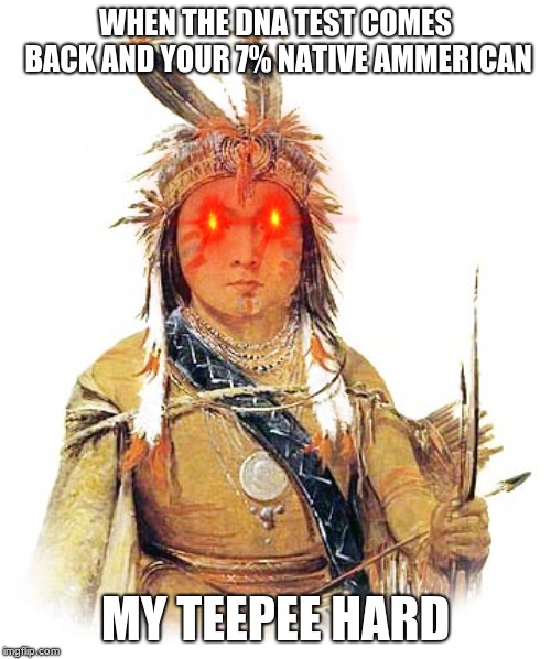 Is yours? | WHEN THE DNA TEST COMES BACK AND YOUR 7% NATIVE AMMERICAN; MY TEEPEE HARD | image tagged in teepee,yeetee,idk | made w/ Imgflip meme maker