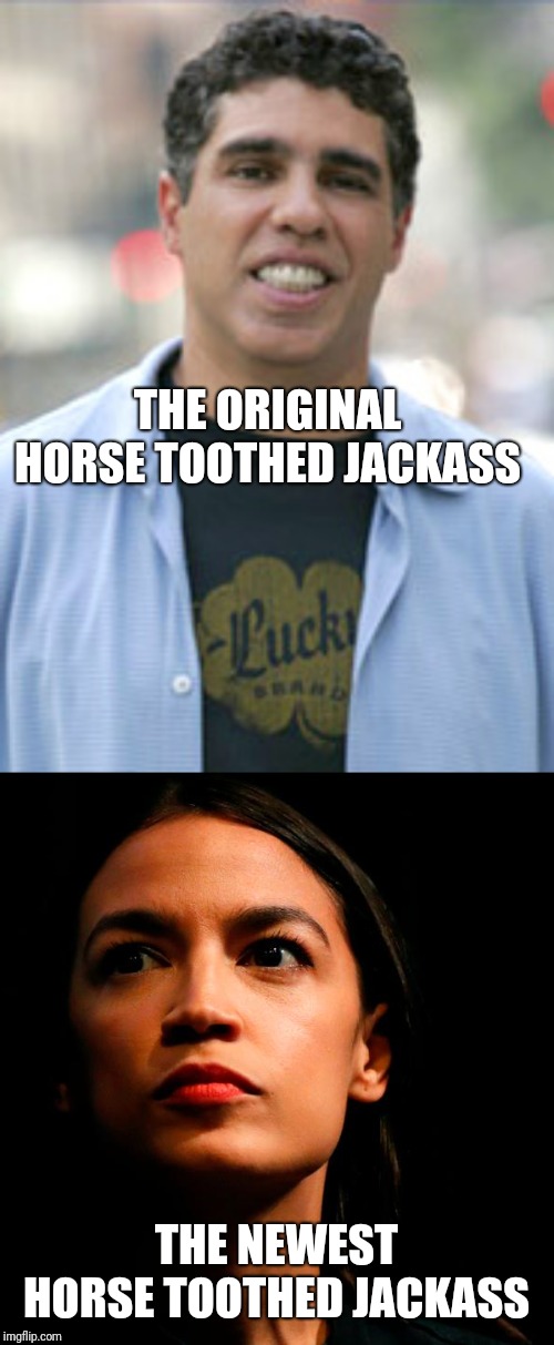 THE ORIGINAL HORSE TOOTHED JACKASS; THE NEWEST HORSE TOOTHED JACKASS | image tagged in horse toothed jackasses | made w/ Imgflip meme maker