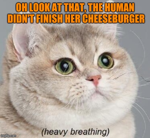 Heavy Breathing Cat Meme | OH LOOK AT THAT, THE HUMAN DIDN'T FINISH HER CHEESEBURGER | image tagged in memes,heavy breathing cat | made w/ Imgflip meme maker