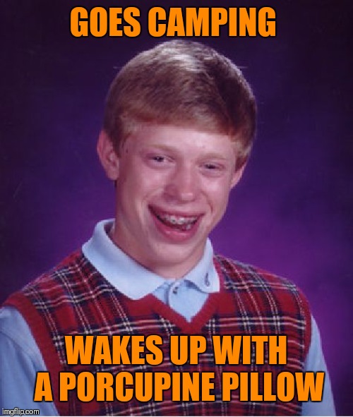 Bad Luck Brian | GOES CAMPING; WAKES UP WITH A PORCUPINE PILLOW | image tagged in memes,bad luck brian,porcupine,camping,funny | made w/ Imgflip meme maker