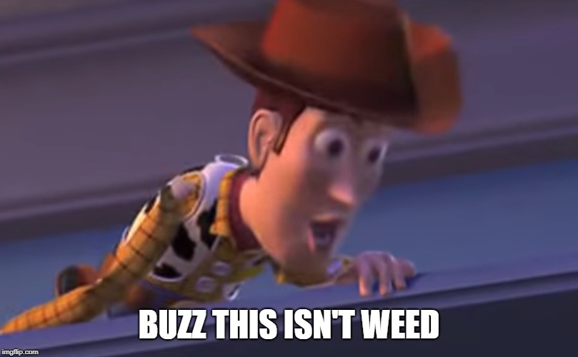 BUZZ THIS ISN'T WEED | image tagged in buzz this isn't weed,buzz and woody | made w/ Imgflip meme maker