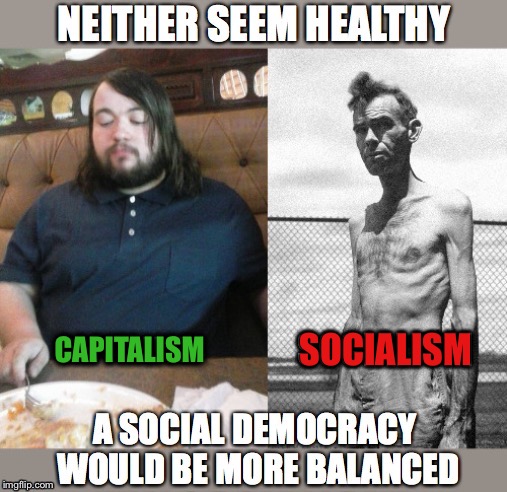 Extremes Vs. Balance | SOCIALISM; CAPITALISM | image tagged in socialism,capitalism,unhealthy,social democracy,balanced | made w/ Imgflip meme maker