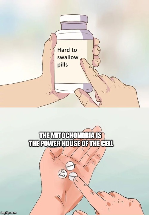 Hard To Swallow Pills Meme | THE MITOCHONDRIA IS THE POWER HOUSE OF THE CELL | image tagged in memes,hard to swallow pills | made w/ Imgflip meme maker