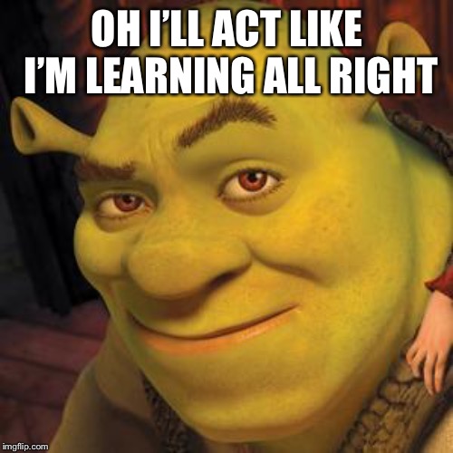 Shrek Sexy Face | OH I’LL ACT LIKE I’M LEARNING ALL RIGHT | image tagged in shrek sexy face | made w/ Imgflip meme maker