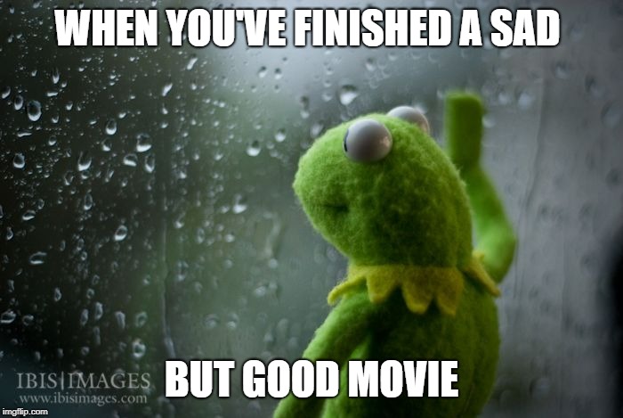kermit window | WHEN YOU'VE FINISHED A SAD; BUT GOOD MOVIE | image tagged in kermit window | made w/ Imgflip meme maker