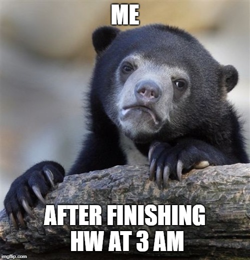 Confession Bear Meme | ME; AFTER FINISHING HW AT 3 AM | image tagged in memes,confession bear | made w/ Imgflip meme maker