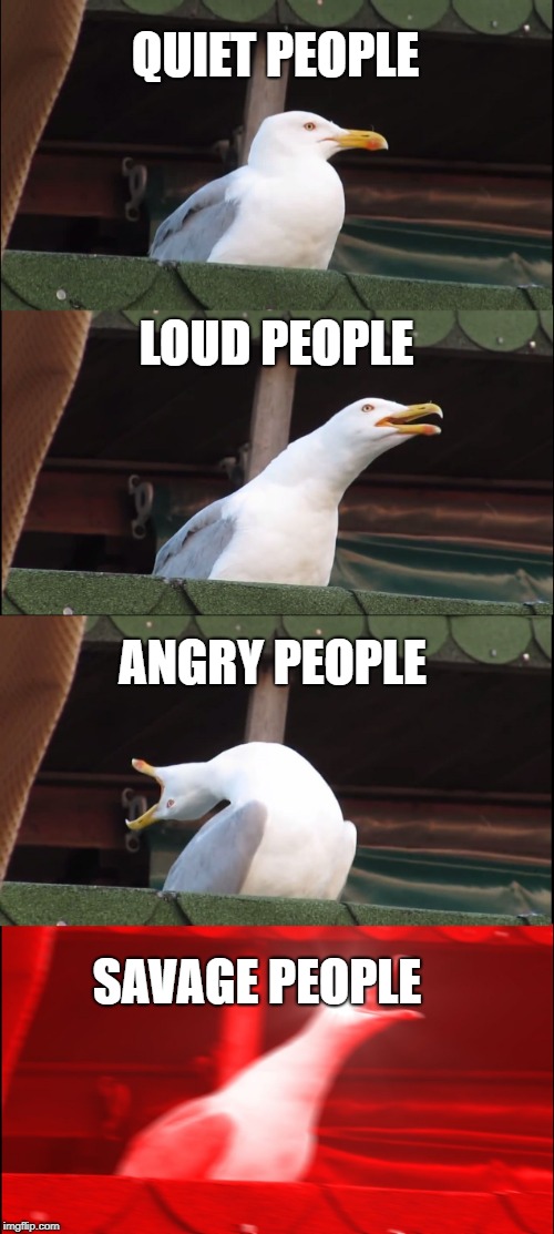Inhaling Seagull | QUIET PEOPLE; LOUD PEOPLE; ANGRY PEOPLE; SAVAGE PEOPLE | image tagged in memes,inhaling seagull | made w/ Imgflip meme maker