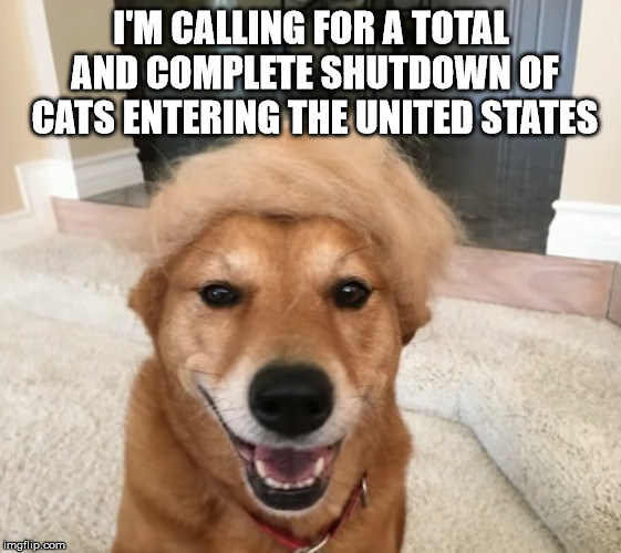 Trump Dog | I'M CALLING FOR A TOTAL AND COMPLETE SHUTDOWN OF CATS ENTERING THE UNITED STATES | image tagged in trump dog | made w/ Imgflip meme maker