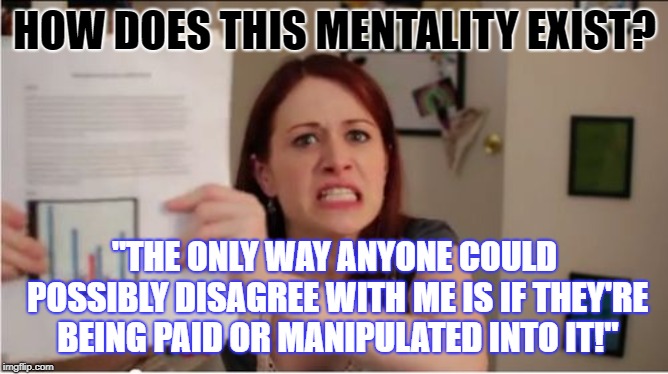 Lizzie Bennet's Done the Research | HOW DOES THIS MENTALITY EXIST? "THE ONLY WAY ANYONE COULD POSSIBLY DISAGREE WITH ME IS IF THEY'RE BEING PAID OR MANIPULATED INTO IT!" | image tagged in lizzie bennet's done the research | made w/ Imgflip meme maker