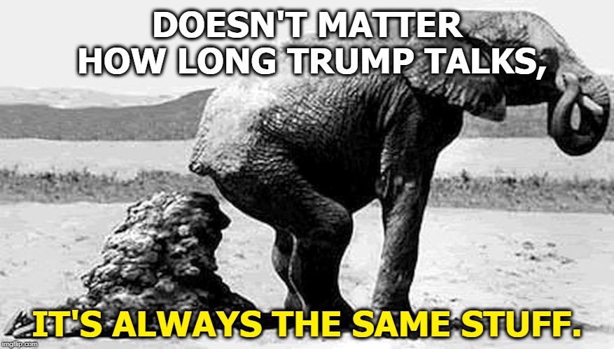 DOESN'T MATTER HOW LONG TRUMP TALKS, IT'S ALWAYS THE SAME STUFF. | image tagged in trump,speech,elephant,stuff,lies | made w/ Imgflip meme maker