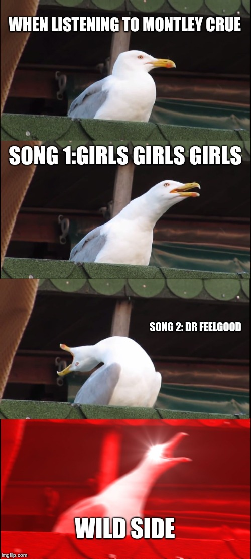 Inhaling Seagull Meme | WHEN LISTENING TO MONTLEY CRUE; SONG 1:GIRLS GIRLS GIRLS; SONG 2: DR FEELGOOD; WILD SIDE | image tagged in memes,inhaling seagull | made w/ Imgflip meme maker