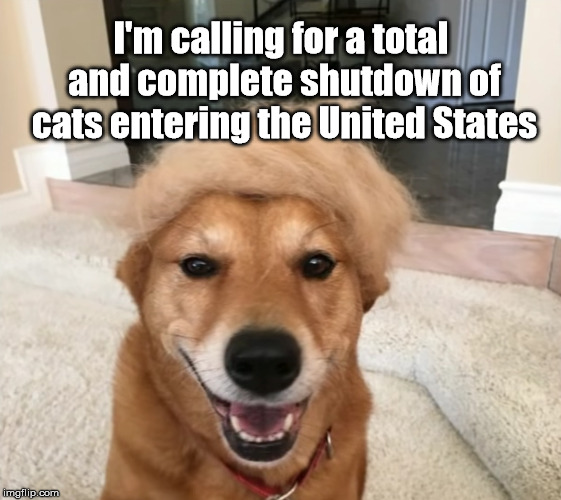Trump Dog | I'm calling for a total and complete shutdown of cats entering the United States | image tagged in trump dog | made w/ Imgflip meme maker