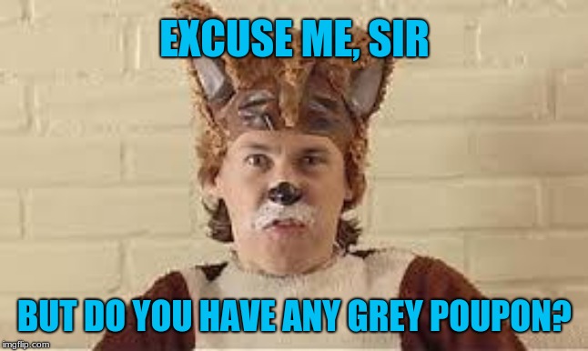 What Does The Fox Say | EXCUSE ME, SIR BUT DO YOU HAVE ANY GREY POUPON? | image tagged in what does the fox say,memes,mustard | made w/ Imgflip meme maker