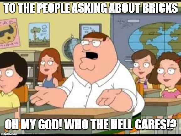 peter griffin | TO THE PEOPLE ASKING ABOUT BRICKS; OH MY GOD! WHO THE HELL CARES!? | image tagged in peter griffin | made w/ Imgflip meme maker