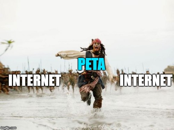 Jack Sparrow Being Chased | INTERNET; PETA; INTERNET | image tagged in memes,jack sparrow being chased | made w/ Imgflip meme maker