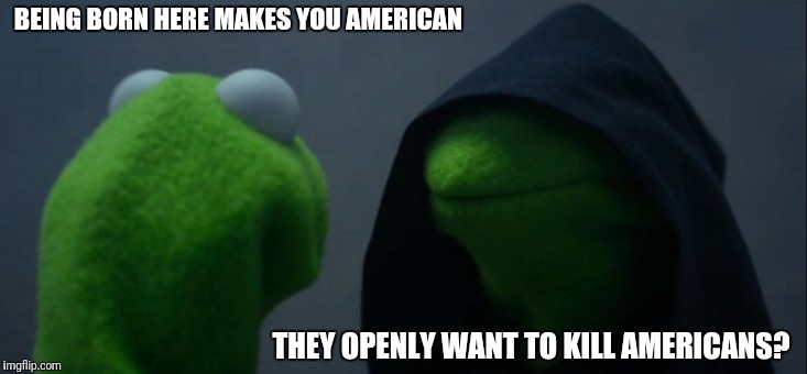 Evil Kermit | BEING BORN HERE MAKES YOU AMERICAN; THEY OPENLY WANT TO KILL AMERICANS? | image tagged in memes,evil kermit | made w/ Imgflip meme maker