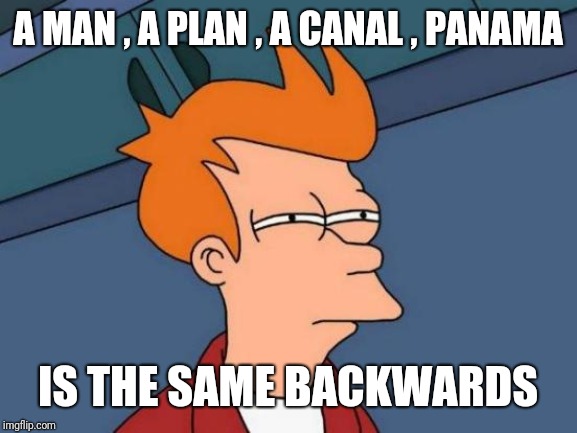 Futurama Fry | A MAN , A PLAN , A CANAL , PANAMA; IS THE SAME BACKWARDS | image tagged in memes,futurama fry | made w/ Imgflip meme maker