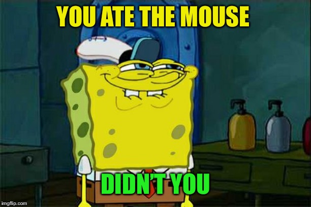 Don't You Squidward Meme | YOU ATE THE MOUSE DIDN’T YOU | image tagged in memes,dont you squidward | made w/ Imgflip meme maker