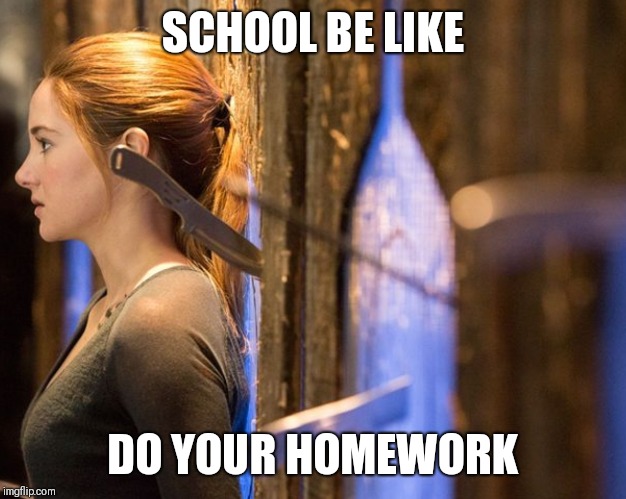 School be like... | SCHOOL BE LIKE; DO YOUR HOMEWORK | image tagged in school meme,divergent | made w/ Imgflip meme maker