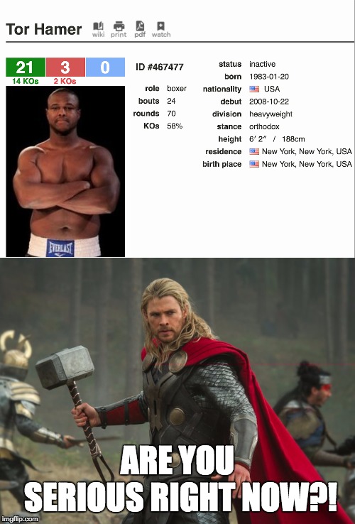 Tor Hamer | ARE YOU SERIOUS RIGHT NOW?! | image tagged in funny,memes,funny memes,meme,funny meme,thor | made w/ Imgflip meme maker