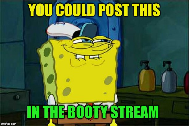 Don't You Squidward Meme | YOU COULD POST THIS IN THE BOOTY STREAM | image tagged in memes,dont you squidward | made w/ Imgflip meme maker