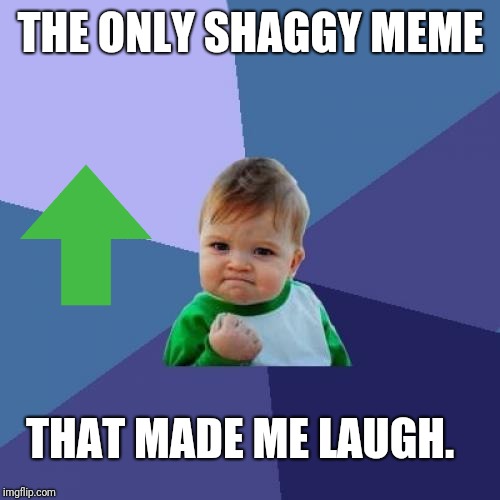 Success Kid Meme | THE ONLY SHAGGY MEME THAT MADE ME LAUGH. | image tagged in memes,success kid | made w/ Imgflip meme maker
