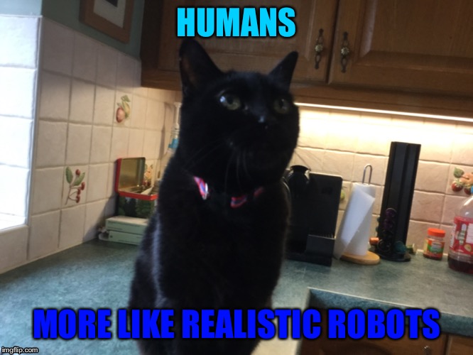 Lol | HUMANS; MORE LIKE REALISTIC ROBOTS | image tagged in xe | made w/ Imgflip meme maker