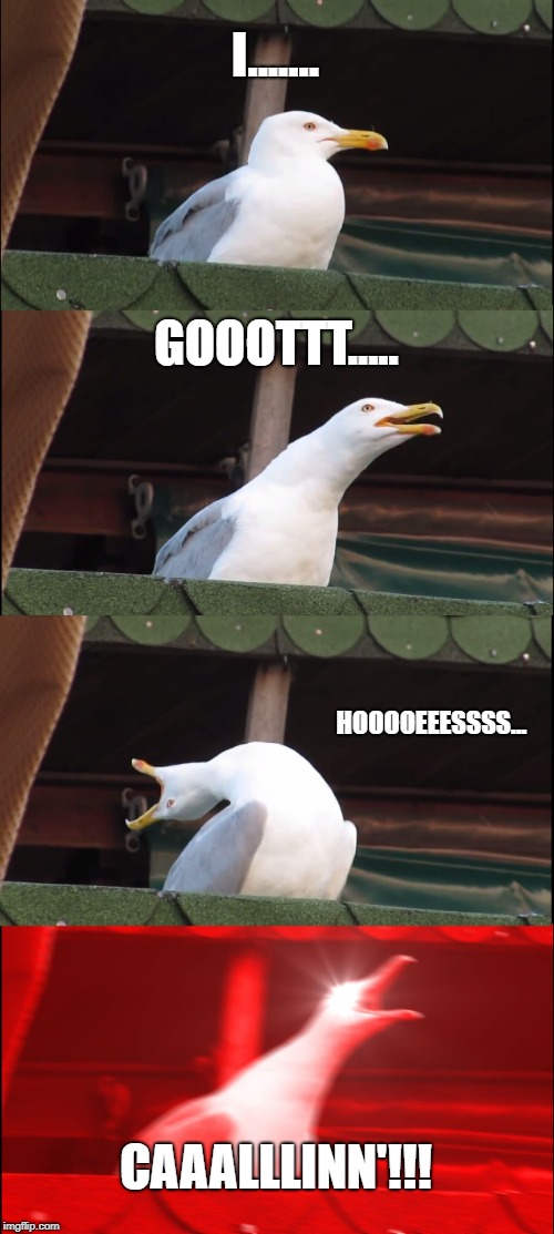 Inhaling Seagull | I....... GOOOTTT..... HOOOOEEESSSS... CAAALLLINN'!!! | image tagged in memes,inhaling seagull | made w/ Imgflip meme maker