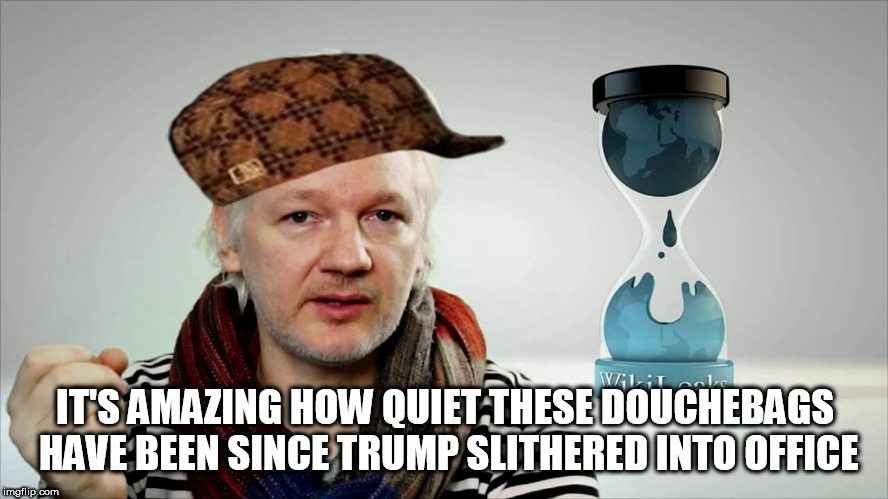 Dickileaks | IT'S AMAZING HOW QUIET THESE DOUCHEBAGS HAVE BEEN SINCE TRUMP SLITHERED INTO OFFICE | image tagged in wikileaks,julian assange | made w/ Imgflip meme maker