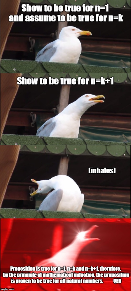Inhaling Seagull Meme | Show to be true for n=1 and assume to be true for n=k; Show to be true for n=k+1; (inhales); Proposition is true for n=1, n=k and n=k+1, therefore, by the principle of mathematical induction, the proposition is proven to be true for all natural numbers.
          QED | image tagged in memes,inhaling seagull | made w/ Imgflip meme maker