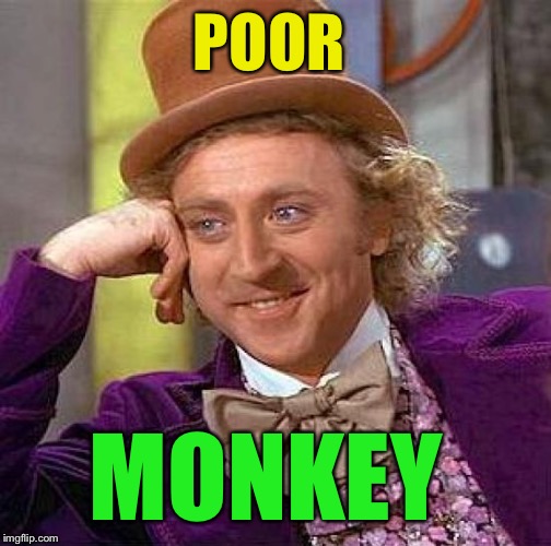 Creepy Condescending Wonka Meme | POOR MONKEY | image tagged in memes,creepy condescending wonka | made w/ Imgflip meme maker