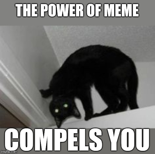 THE POWER OF MEME COMPELS YOU | image tagged in cats,the exorcist | made w/ Imgflip meme maker