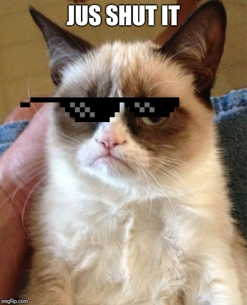 Grumpy Cat Meme | JUS SHUT IT | image tagged in memes,grumpy cat | made w/ Imgflip meme maker
