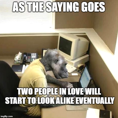 Monkey Business Meme | AS THE SAYING GOES TWO PEOPLE IN LOVE WILL START TO LOOK ALIKE EVENTUALLY | image tagged in memes,monkey business | made w/ Imgflip meme maker