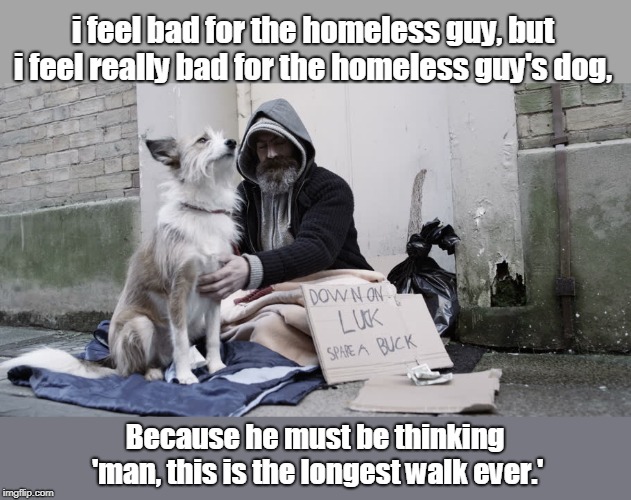 Homeless guy | i feel bad for the homeless guy, but i feel really bad for the homeless guy's dog, Because he must be thinking 'man, this is the longest walk ever.' | image tagged in funny | made w/ Imgflip meme maker