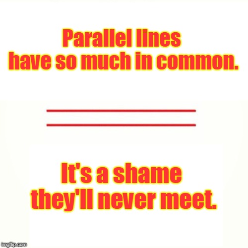 Parallel lines  | Parallel lines have so much in common. It's a shame they'll never meet. | image tagged in funny | made w/ Imgflip meme maker