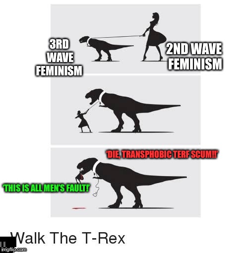 Walk The T Rex | ‘DIE, TRANSPHOBIC TERF SCUM!!’; ‘THIS IS ALL MEN’S FAULT!’ | image tagged in feminism | made w/ Imgflip meme maker