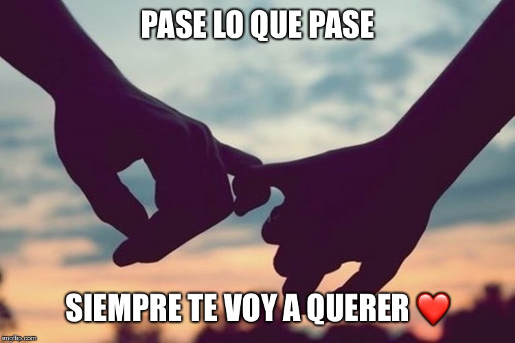 Cute Hold Hands Pinky Comfortable | PASE LO QUE PASE; SIEMPRE TE VOY A QUERER ❤️ | image tagged in cute hold hands pinky comfortable | made w/ Imgflip meme maker