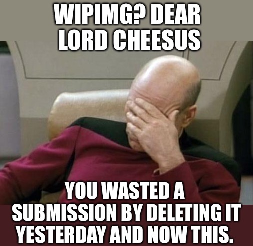 Captain Picard Facepalm Meme | WIPIMG? DEAR LORD CHEESUS YOU WASTED A SUBMISSION BY DELETING IT YESTERDAY AND NOW THIS. | image tagged in memes,captain picard facepalm | made w/ Imgflip meme maker